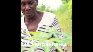 Повышение устойчивости мелких фермеров для преодоления последствий