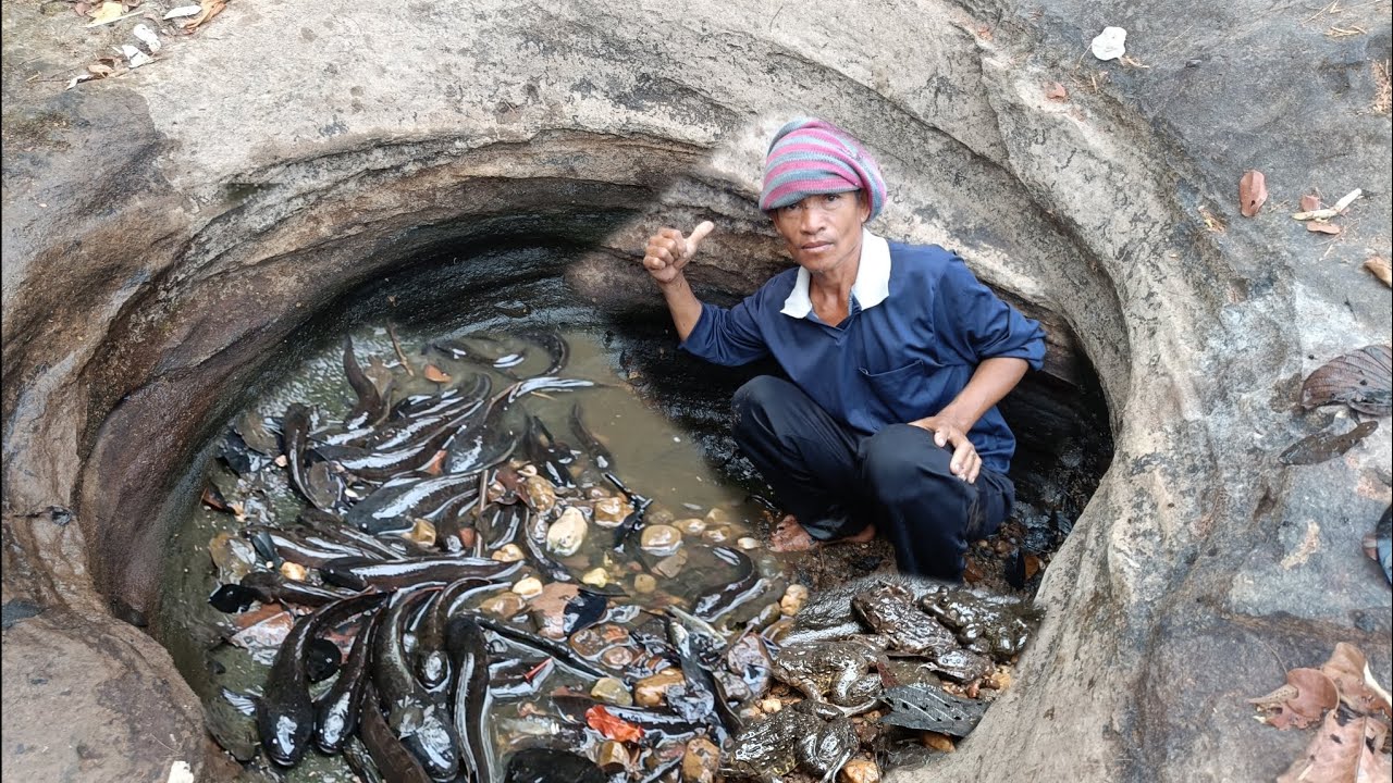 24 ก.พ 69 ขึ้นเขาหาสาปลานำโบกหินเอาหมายเดียวทั้งปลาทั้งกบ🐬🐋🐳