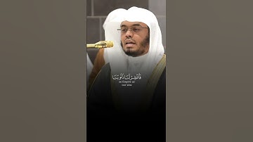 الذين يقولون ربَّنا إنَّنا ءامنَّا فاغفر لنا ذنوبنا من سورة آل عمران بصوت الشيخ ياسر الدوسري