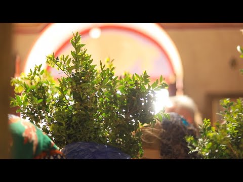 უფლის იერუსალიმში შესვლა - ბზობა - მამა ბენიამინი (25.04.21 წ.)