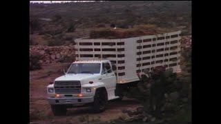 Comerciales Antiguos 1983  1986 mxico