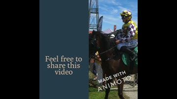 The Horse Racing System for Maidens