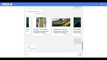SUSI AI Web Chat Application demo