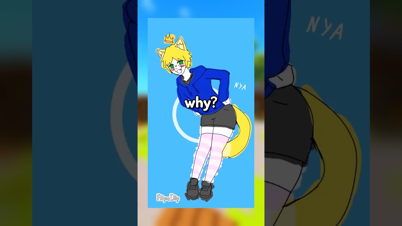 Having a 31,371 Member Discord Server…