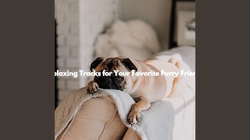 Sparkling Backdrops for Private Things