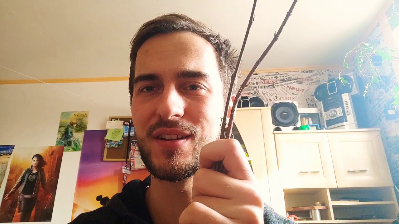 Godzina 18:00 Naturalny ukorzeniacz z wierzby. Odcinek 2