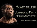 The Discovery of Homo naledi