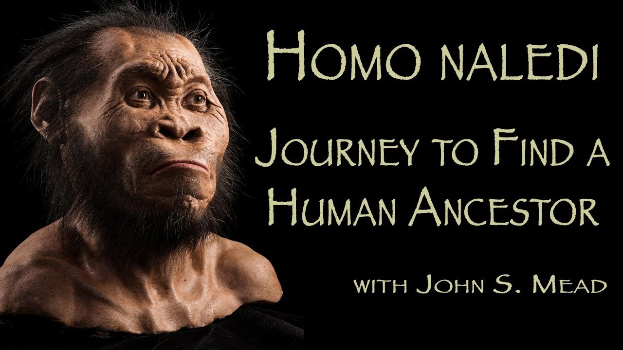 The Discovery of Homo naledi - YouTube