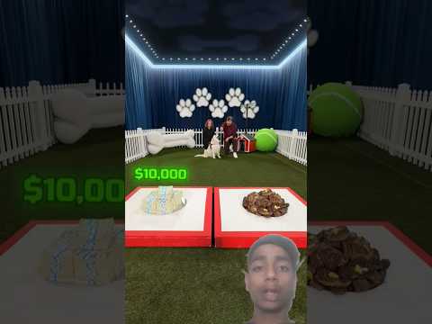 Would Your Dog Pick? $10,000 Vs Steak? #mrbeast