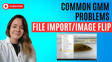 Common GMM problems: MorphoJ TPS file import and TPSDig image flip