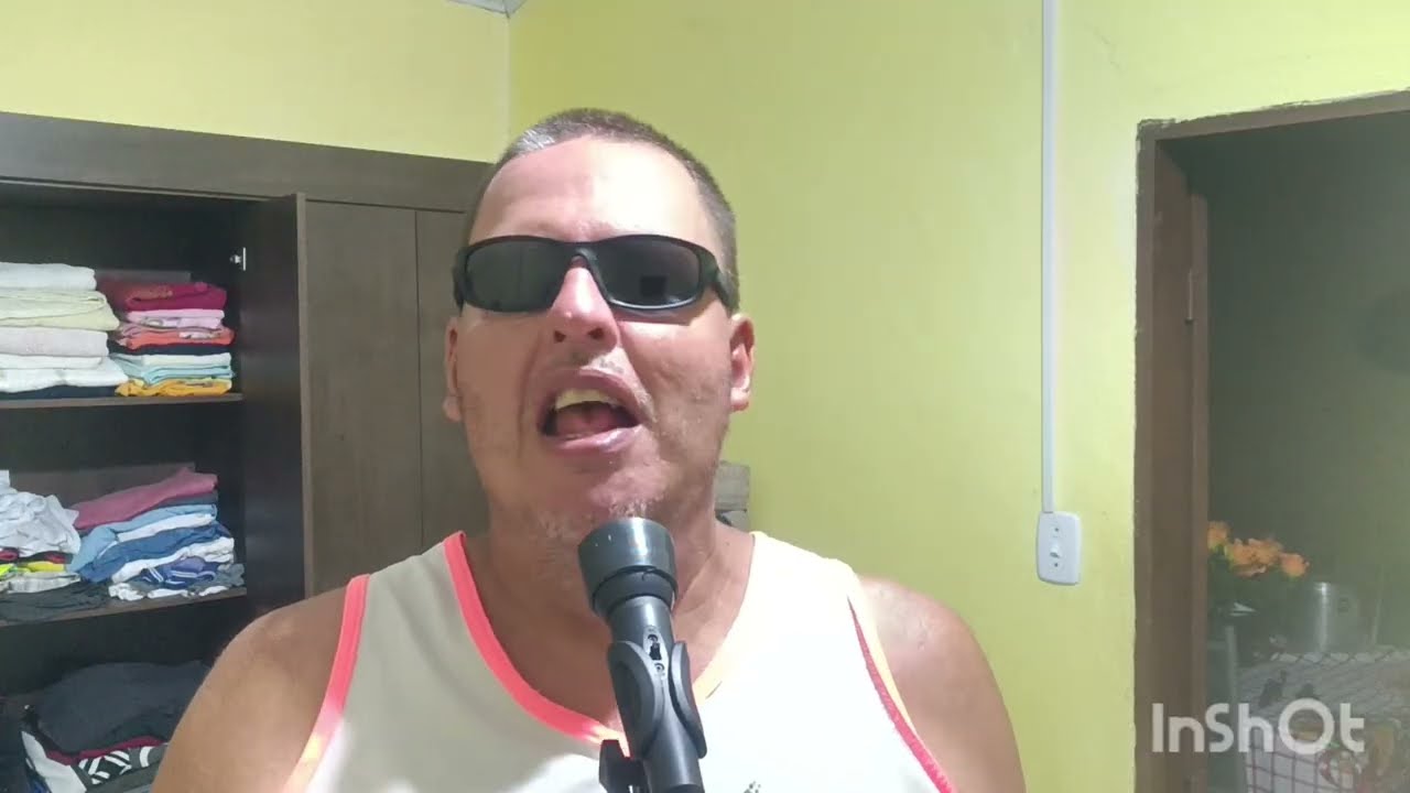 Sobre os vídeos de memes que postei 