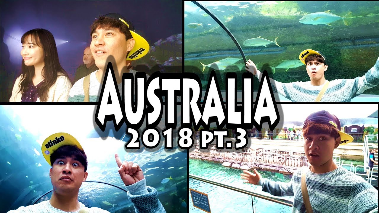 AUSTRALIA VLOG 3: The Sydney Aquarium