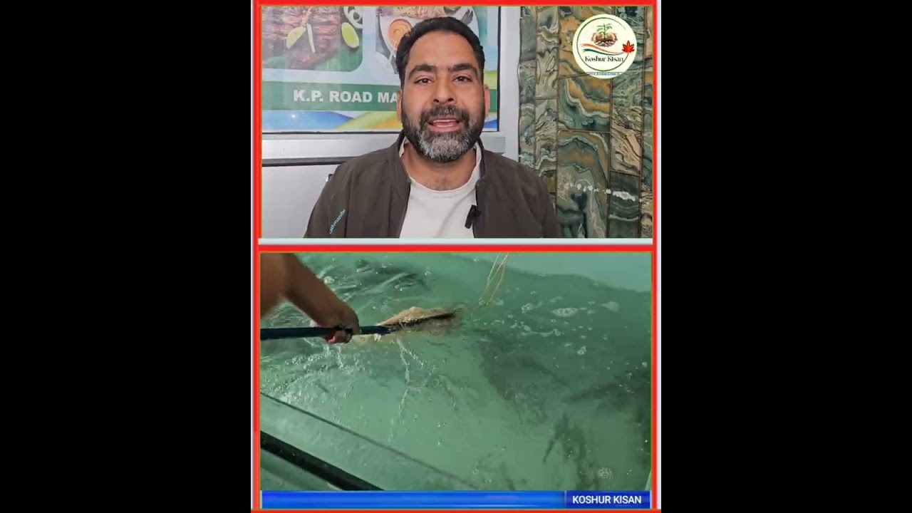 Taking advantage of the schemes provided by the Fisheries Department in Anantnag district of J&k..