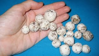DIY Бусины из салфеток. Мастер-класс \ Beads of napkins DIY Бусины из салфеток. Мастер-класс \ Beads of napkins