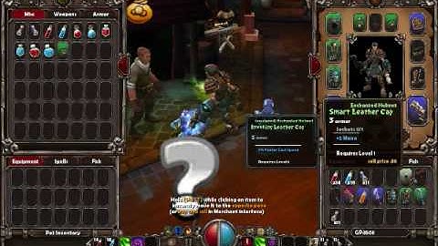 Lets Play Torchlight with Commentary Part 8  [HQ]