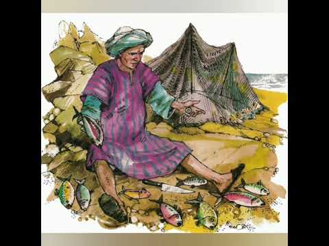 أبو صير وأبو قير الجزءالثاني قصة للأطفال 