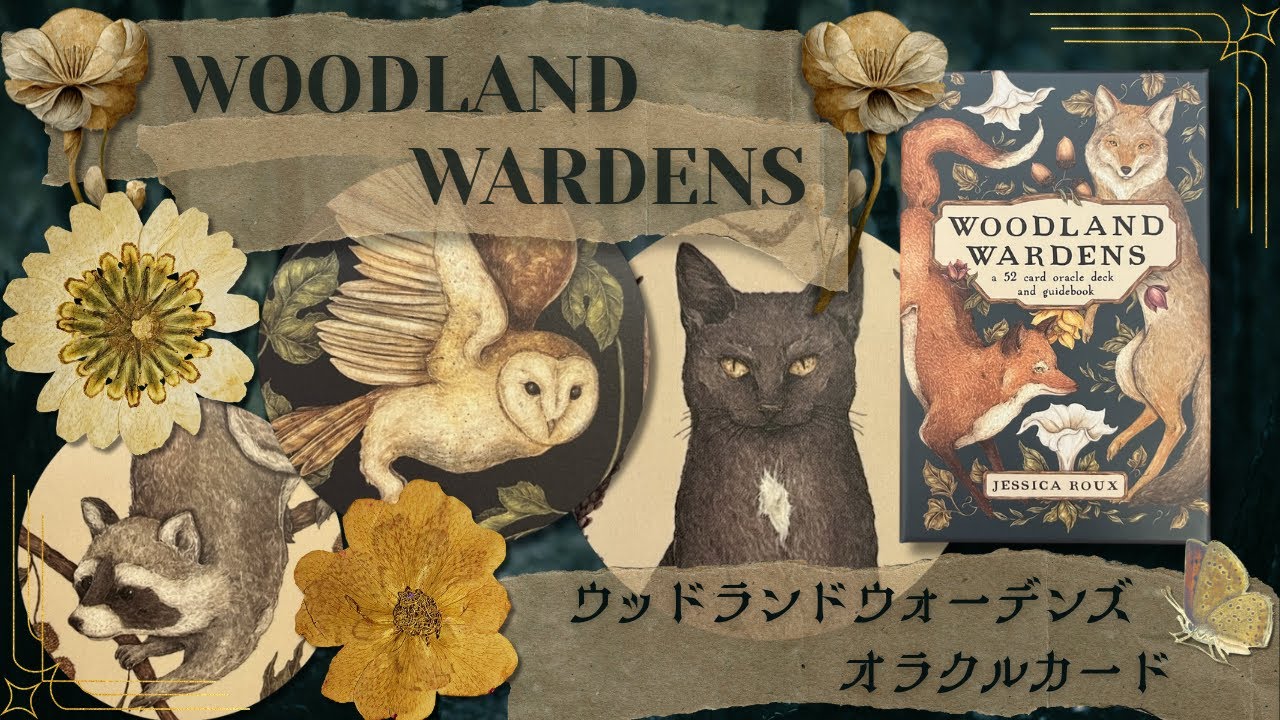 ✦開封3択✦ウッドランドウォーデンズ オラクルカード✦森の生き物たちからのメッセージあり✦