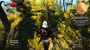 The Witcher 3: Wild Hunt bug - The other side of invisible wall.