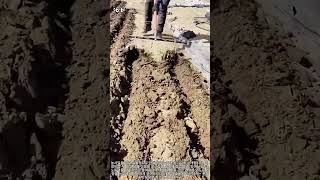 두 개의 날로 빠르게! 밭 고랑 작업 효율 극대화하는 방법 #worker #process #agriculture #farmingtech #fieldwork