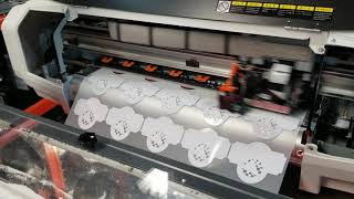 STS MUTOH DTF 628