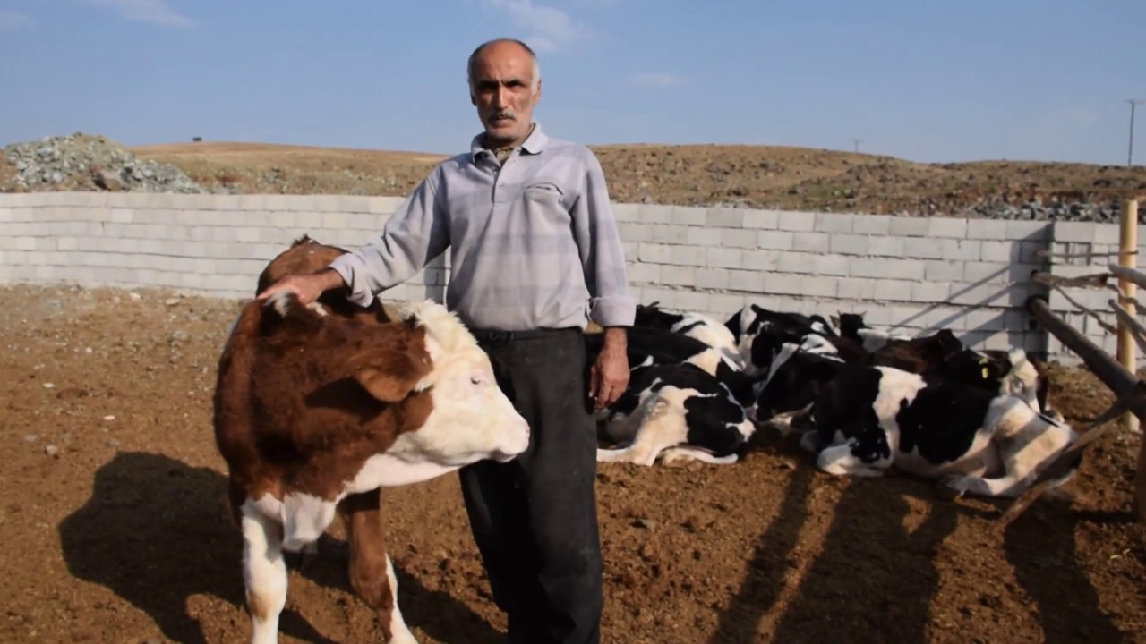 Süleyman Yalçın Röportaj