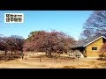 代々木公園を散歩しました【死ぬまでの途中報告】