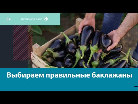 Как правильно выбрать баклажаны? — Москва FM
