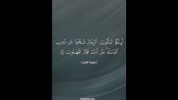 سورة النمل #المسبحة_اونلاين #راحة_نفسية #قرآن