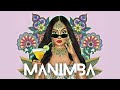 Manimba  aghin malik x dexterduke  malayalam vattapaatu fusion  official music