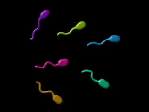 When I Was A Sperm Video