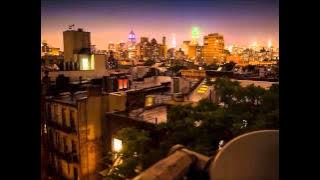 Red Hot Chili Peppers - Save The Population