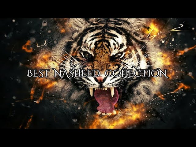 Best Nasheed Collection 🕋 - English translation (Reuploaded) | 8 Nasheeds | أفضل مجموعة نشيد class=