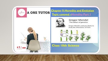CBSE Class 10 Science Chapter 9 Heredity And Evolution
