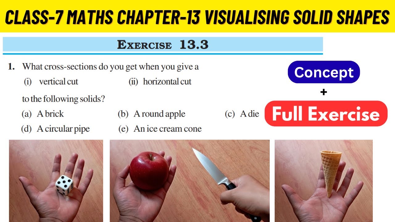 Class 7 Maths Chapter 13 Visualising Solid Shapes NCERT Exercise 13.3 ...