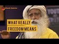 What really freedom means  sadhguru speeches