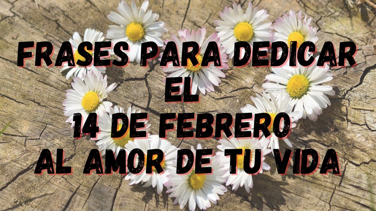 ️12 FRASES para Dedicar el 14 de Febrero al AMOR de tu VIDA ️ Frases de ...