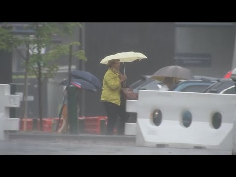 Video: Ein Gewitter In Australien Verursachte Asthmaanfälle Bei Tausenden Von Menschen Und Tötete 4 Menschen - Alternative Ansicht