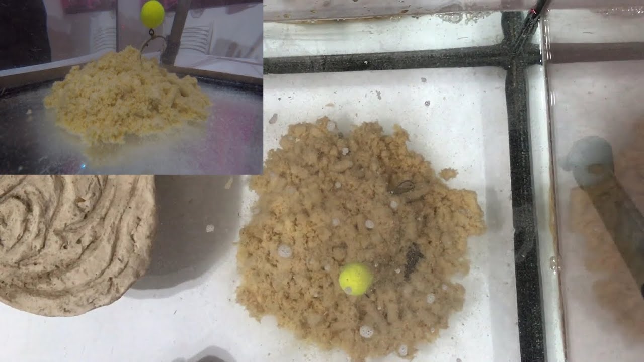 Sacchettini Pva (pellet) in acqua !!! Dimostrazione Crimax