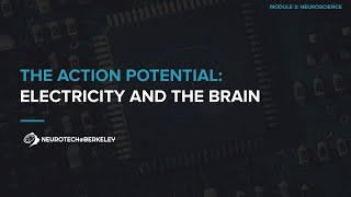 Module 2, Section 2, Lesson 6: Electricity and the Brain || UC Berkeley CS 198 96