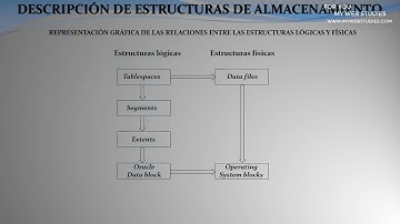 🎓  CURSO DESCRIPCION DE ESTRUCTURAS DE ALMACENAMIENTO:    🥇 MAS CURSOS EN LA DESCRIPCION