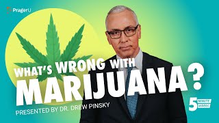 What's Wrong with Marijuana? | 5Minute Videos
