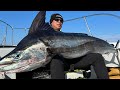 Giant Swordfish Catch | Amazing Fishing From Japan