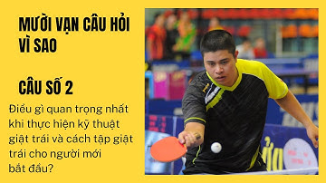 Số 2: Điều gì quan trọng nhất trong giật trái? | 10 vạn câu hỏi vì sao