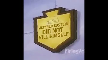 random videos saved on my phone with absolutely no context whatsoever (part two)