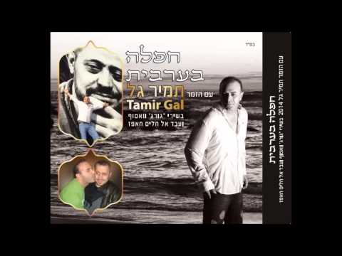 תמיר גל חסירטי כל אינאס - ג'ורג' וואסוף