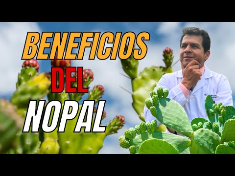 el Nopal sus