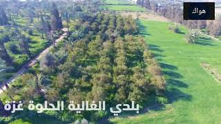 أرض المجد وأرض العزة ✌️بلدي الغالية الحلوة غزة 🇵🇸