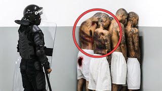 El Salvador Mega Prison For Brutal Gangs Shocking Footage by Top 5 Best 95,065 views 13 days ago 25 minutes