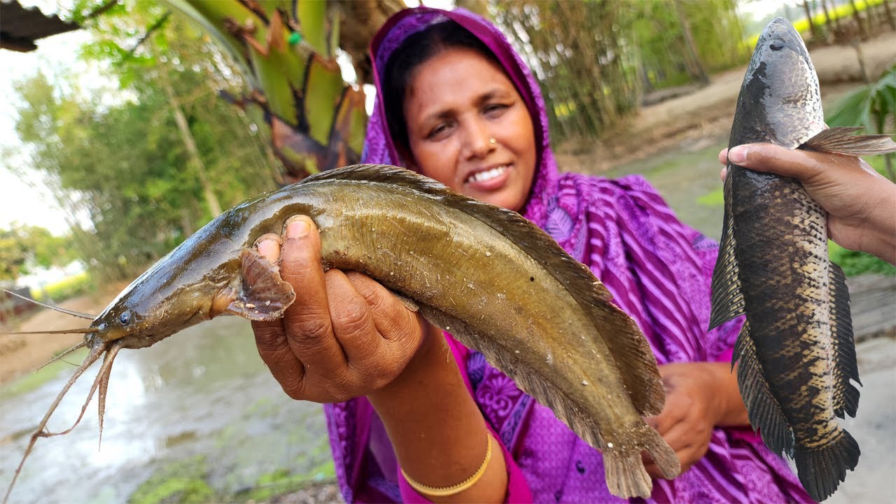 Night Fish Hunting - Rainy Day Polo Fishing - Deshi Magur Macher Vuna Recipe - Shol Mach Bhuna Curry