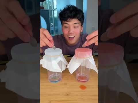 TESTING Cheap Vs